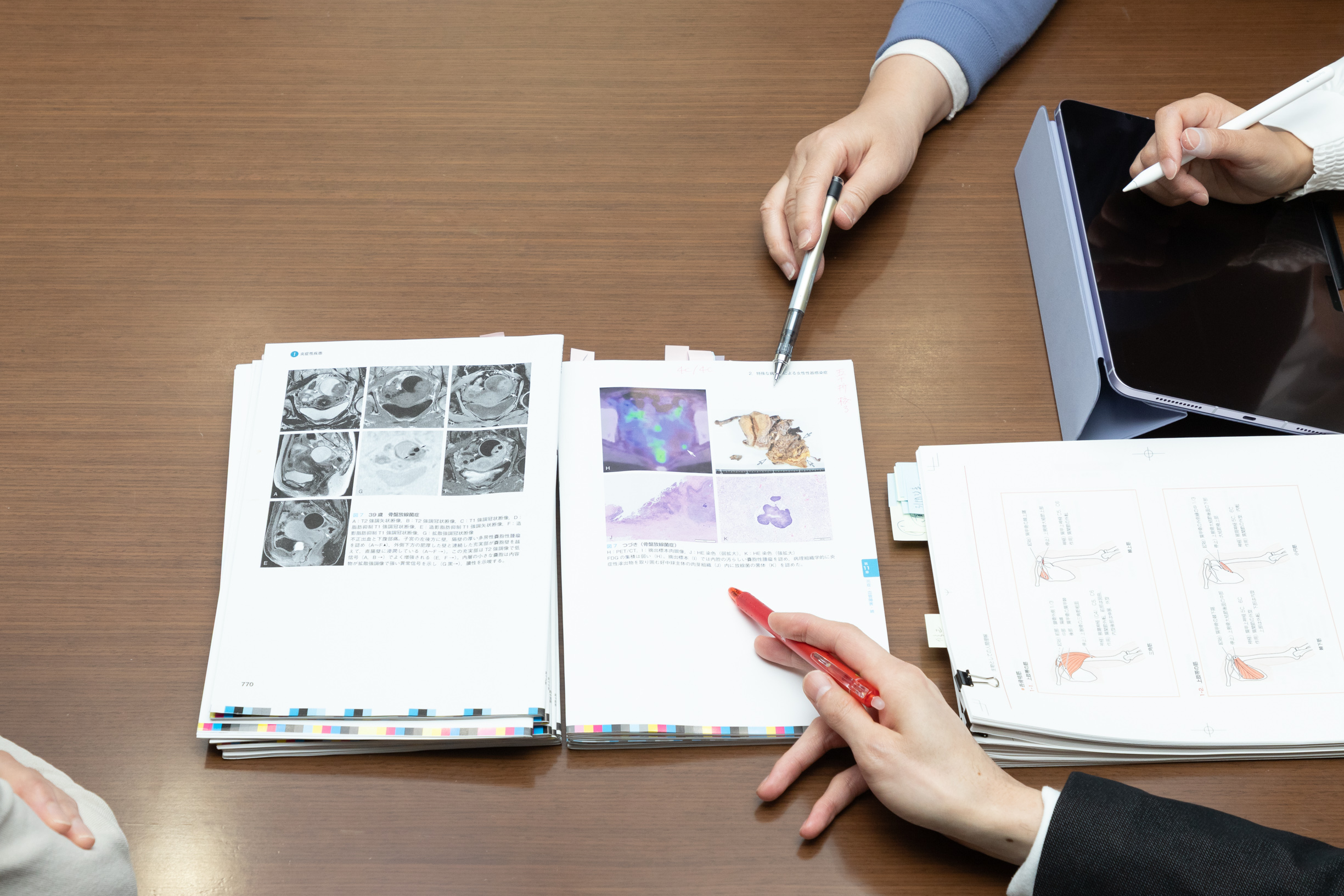 公開求人{ $job->is_open?' : '.$job->company->name:'' }}